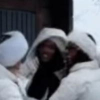 veradijkmansofficial Nude