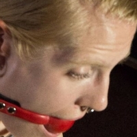 Rachel Greyhound Nude